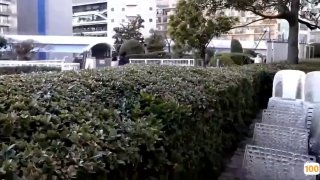 视频精品全部 国产,成人视频高清免费观看